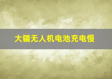 大疆无人机电池充电慢