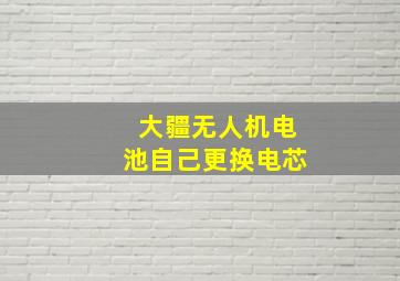 大疆无人机电池自己更换电芯