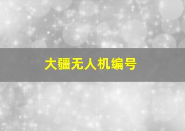 大疆无人机编号