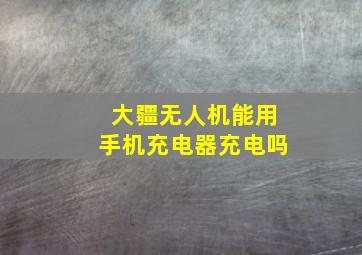 大疆无人机能用手机充电器充电吗