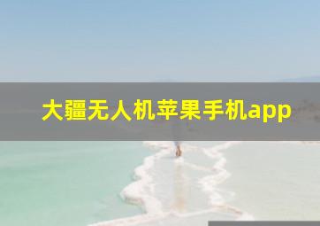 大疆无人机苹果手机app