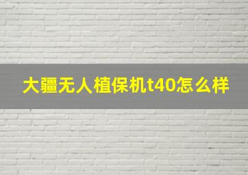 大疆无人植保机t40怎么样