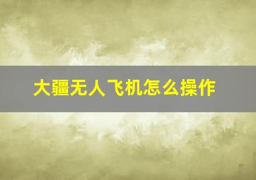 大疆无人飞机怎么操作