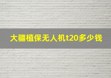 大疆植保无人机t20多少钱