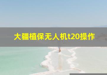 大疆植保无人机t20操作