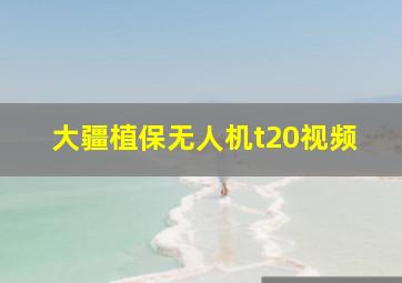 大疆植保无人机t20视频