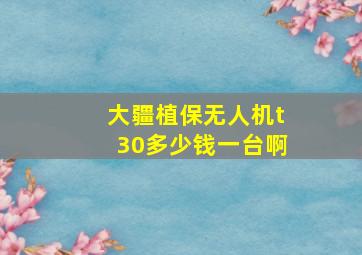 大疆植保无人机t30多少钱一台啊