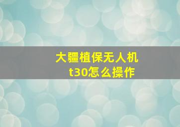 大疆植保无人机t30怎么操作