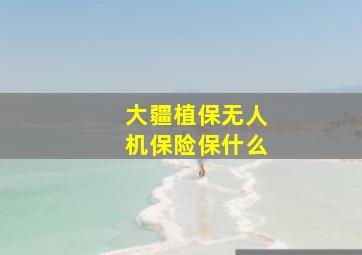 大疆植保无人机保险保什么