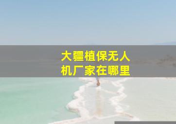 大疆植保无人机厂家在哪里