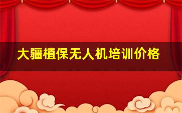 大疆植保无人机培训价格