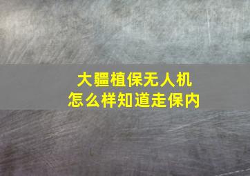 大疆植保无人机怎么样知道走保内