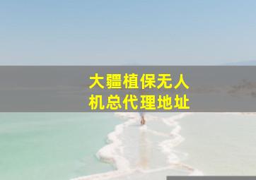 大疆植保无人机总代理地址