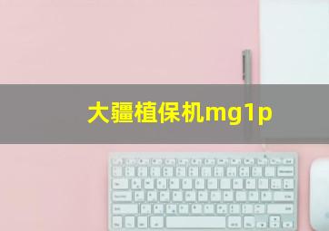 大疆植保机mg1p