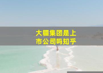 大疆集团是上市公司吗知乎