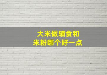 大米做辅食和米粉哪个好一点