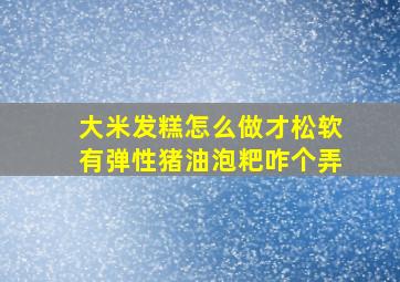 大米发糕怎么做才松软有弹性猪油泡粑咋个弄