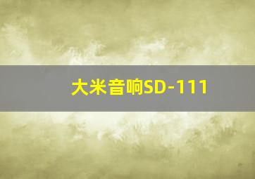 大米音响SD-111