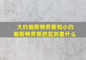 大约翰斯特劳斯和小约翰斯特劳斯的区别是什么