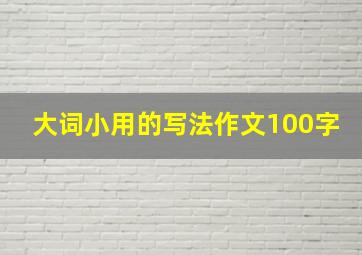 大词小用的写法作文100字