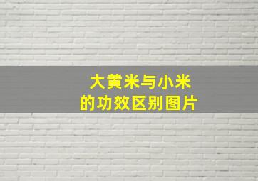 大黄米与小米的功效区别图片