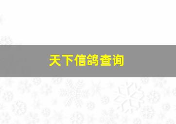 天下信鸽查询