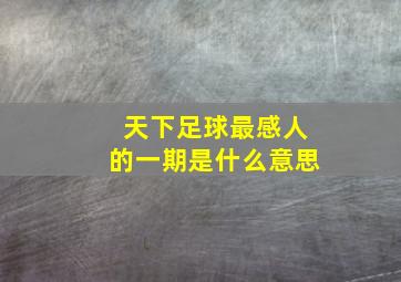 天下足球最感人的一期是什么意思