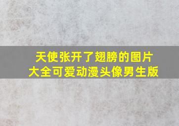 天使张开了翅膀的图片大全可爱动漫头像男生版