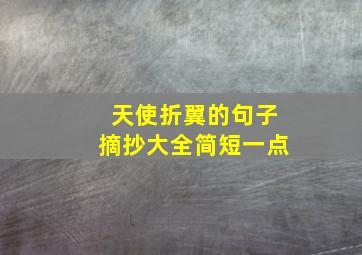 天使折翼的句子摘抄大全简短一点