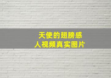 天使的翅膀感人视频真实图片