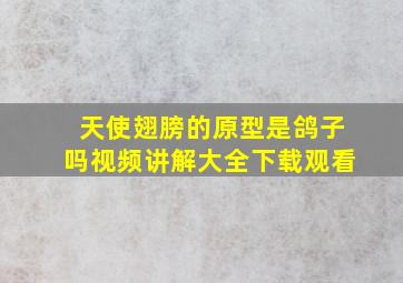 天使翅膀的原型是鸽子吗视频讲解大全下载观看