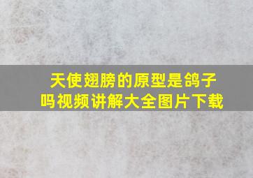 天使翅膀的原型是鸽子吗视频讲解大全图片下载