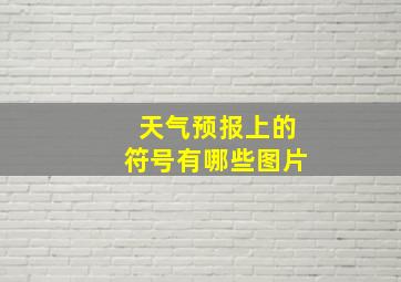 天气预报上的符号有哪些图片