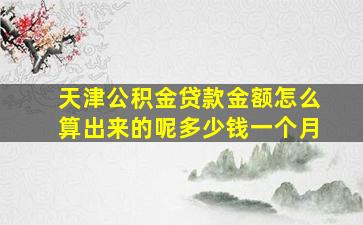 天津公积金贷款金额怎么算出来的呢多少钱一个月