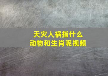 天灾人祸指什么动物和生肖呢视频