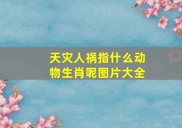 天灾人祸指什么动物生肖呢图片大全