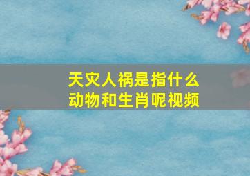 天灾人祸是指什么动物和生肖呢视频