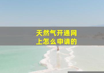 天然气开通网上怎么申请的