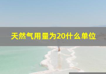 天然气用量为20什么单位