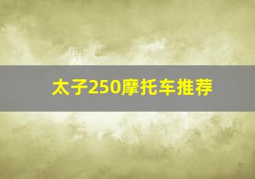 太子250摩托车推荐