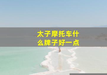 太子摩托车什么牌子好一点