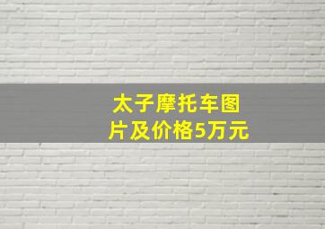 太子摩托车图片及价格5万元