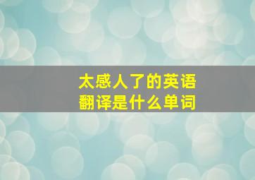 太感人了的英语翻译是什么单词