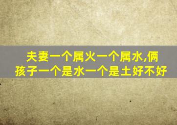 夫妻一个属火一个属水,俩孩子一个是水一个是土好不好