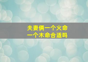 夫妻俩一个火命一个木命合适吗