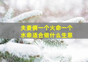 夫妻俩一个火命一个水命适合做什么生意