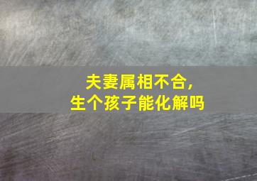 夫妻属相不合,生个孩子能化解吗