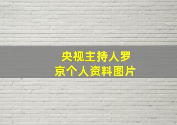 央视主持人罗京个人资料图片