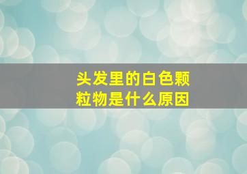 头发里的白色颗粒物是什么原因