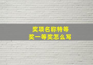 奖项名称特等奖一等奖怎么写